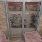 Toxic Mold Hidden Behind Wall Resulting in Mold Remediation